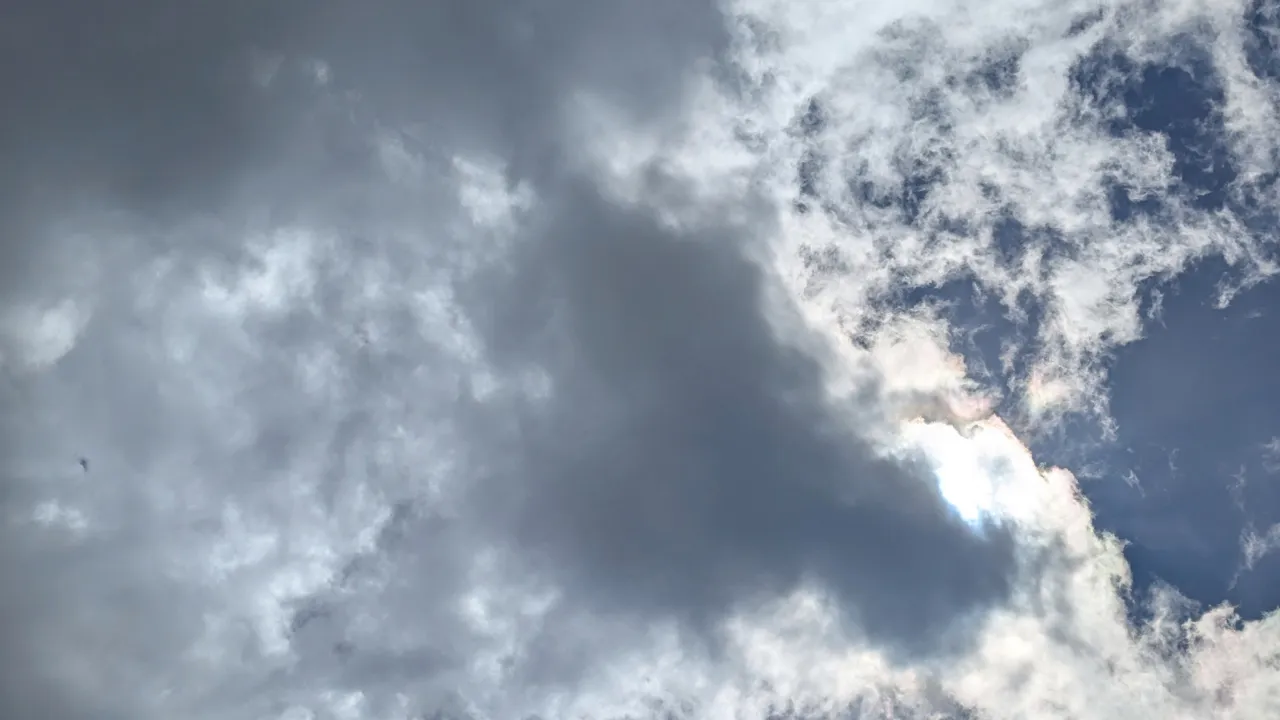 PXL_20250722_082246962