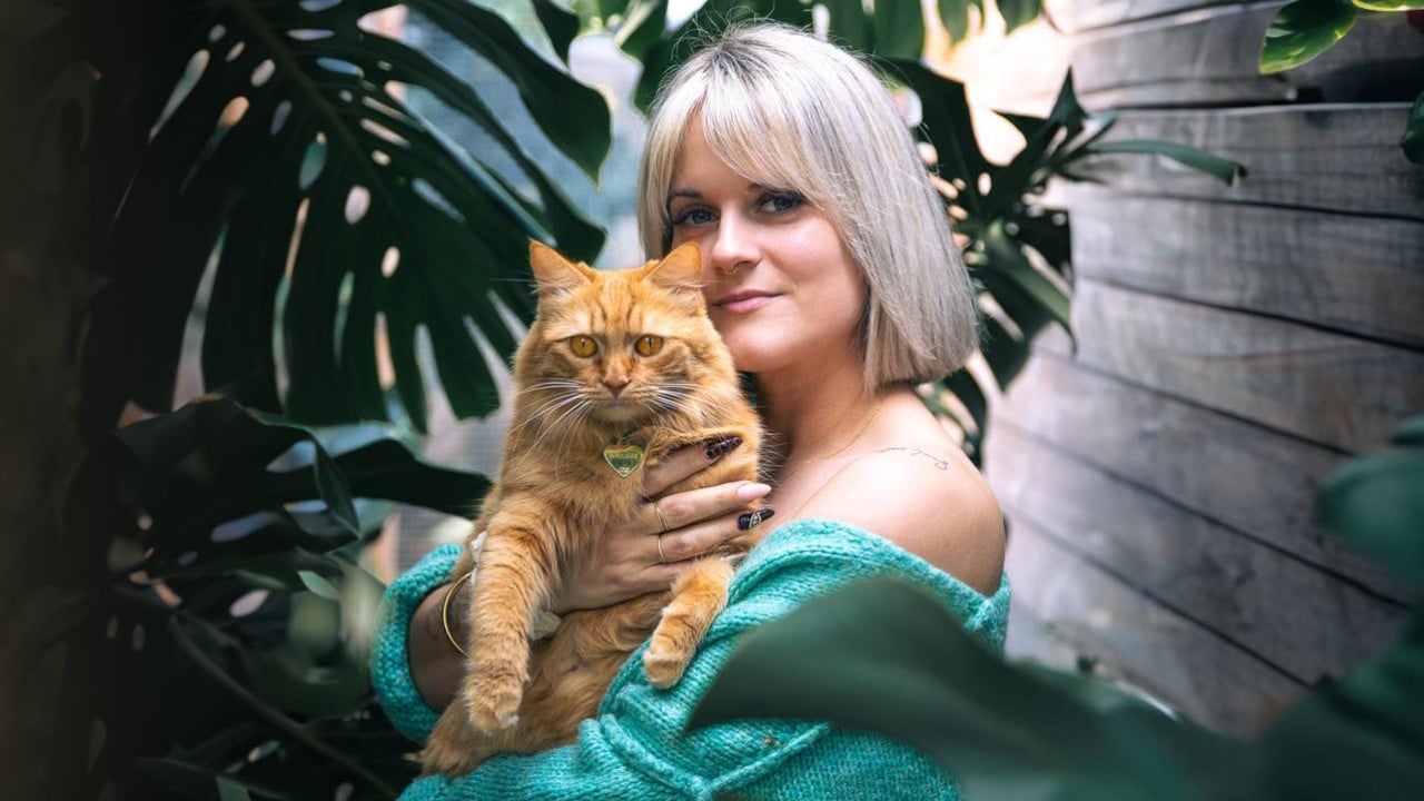 chat
