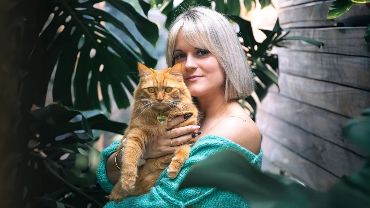 chat vanille leclercq chat