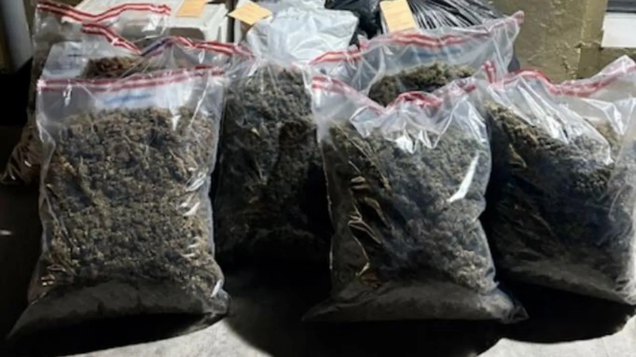 drogue saisie tampon gendarmerie de la réunion