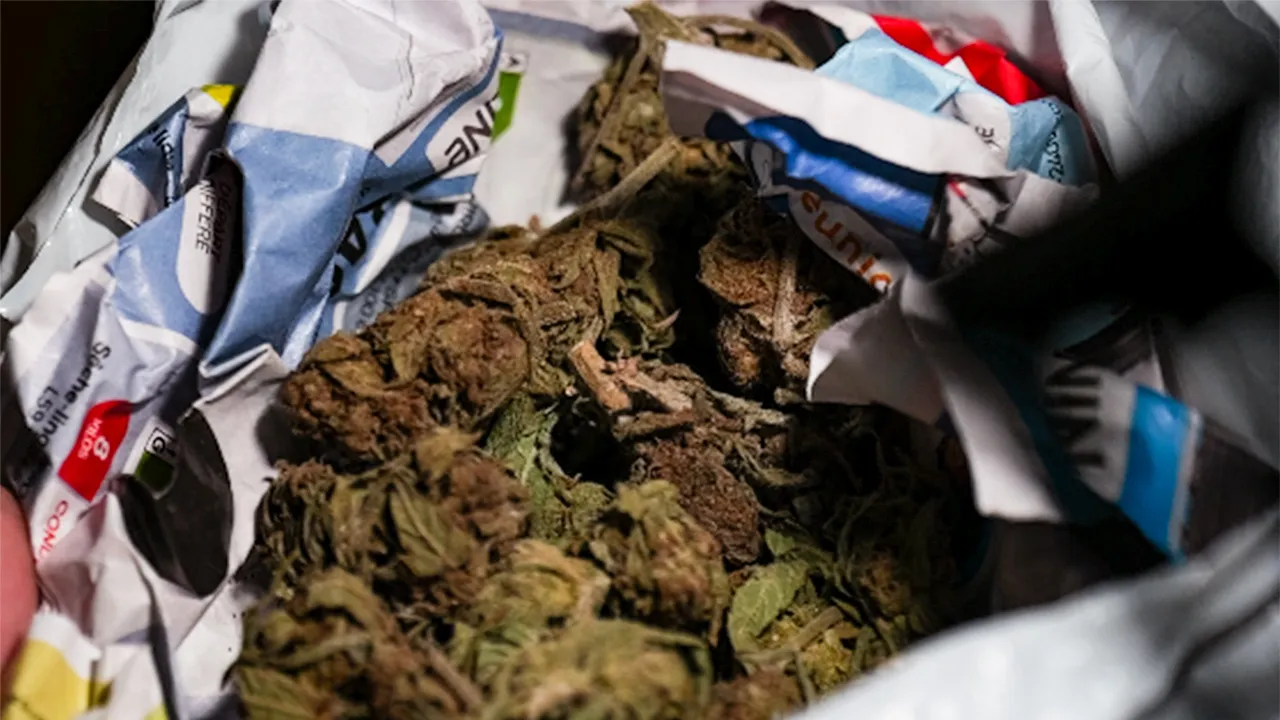 Drogue Zamal Drogue
