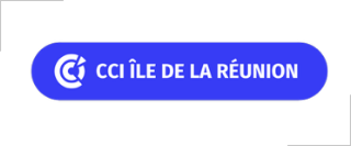Logo-ccir-Zinfos