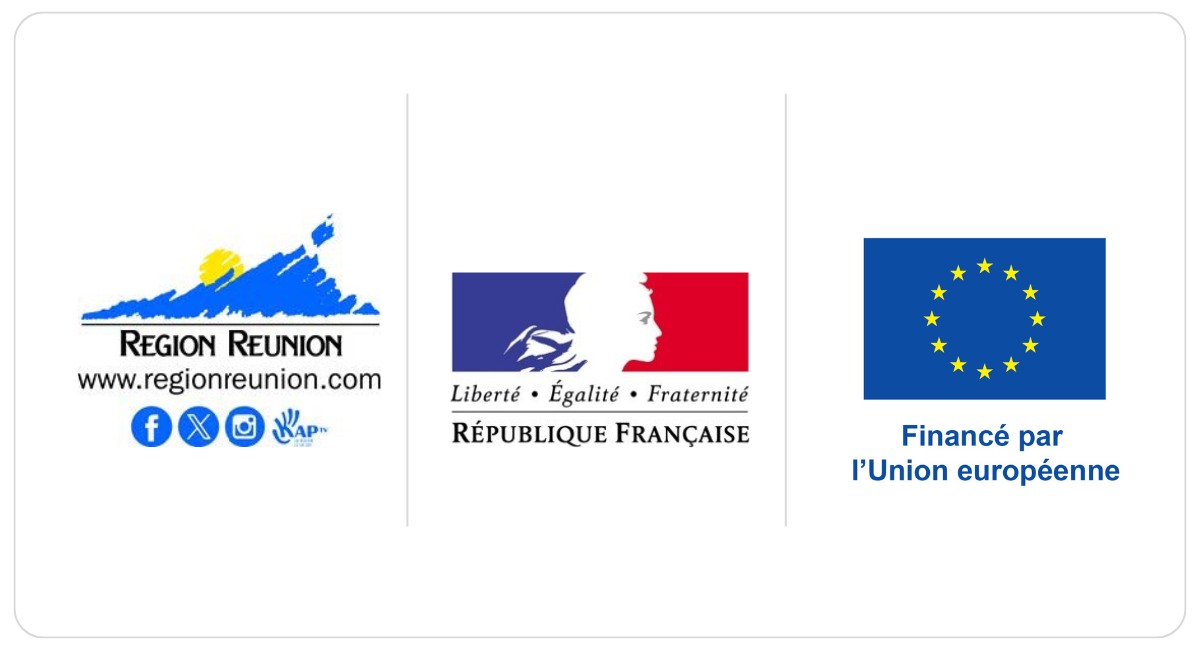 Région 11