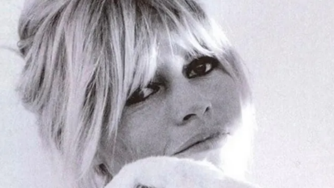 Brigitte Bardot avait été condamnée pour injures raciales.