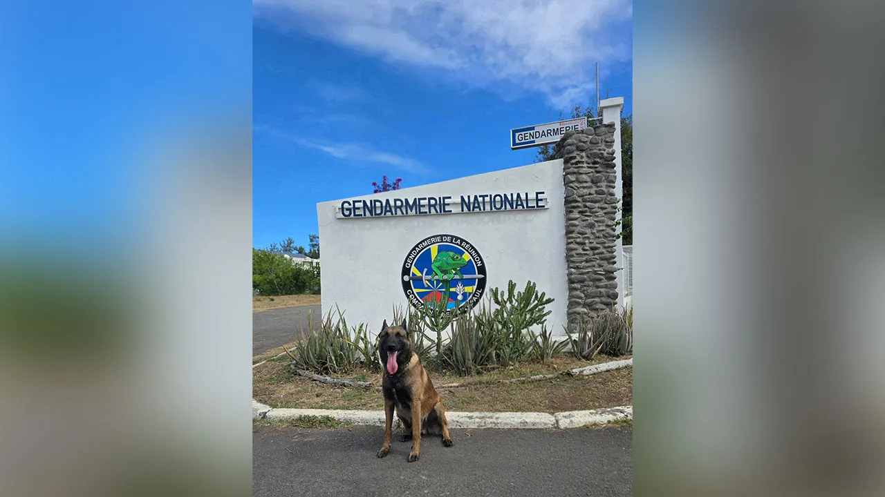 Orak-Gendarmerue