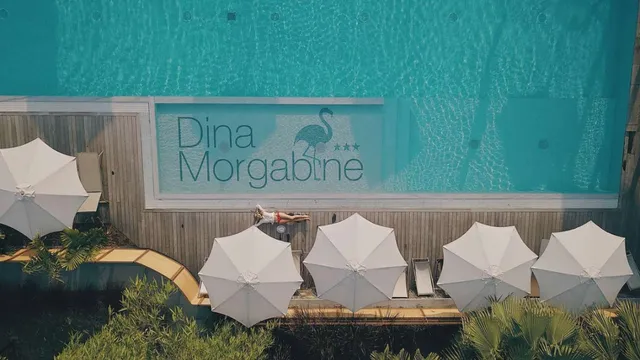 DINA MORGABINE