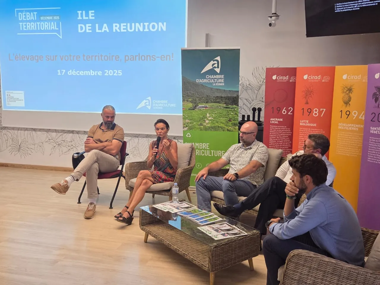 errance animale élevage L'errance animale au cœur des débats organisés ce mercredi 17 décembre au CIRAD de Saint-Pierre à l'initiative de la chambre d'agriculture avec le soutien du minictère de l'agriculture et de la Souveraineté alimentaire.
