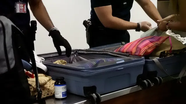 Fraudes : 141 millions d’euros ont été détectés en 2025 à La Réunion. Le CODAF dresse son bilan et fixe ses priorités dont la lutte contre le narcotrafic.