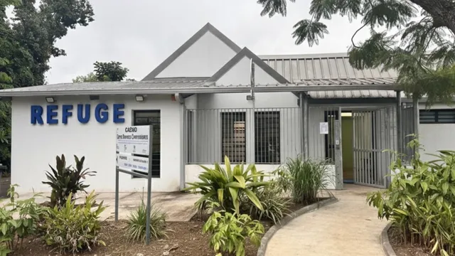 refuge tampon