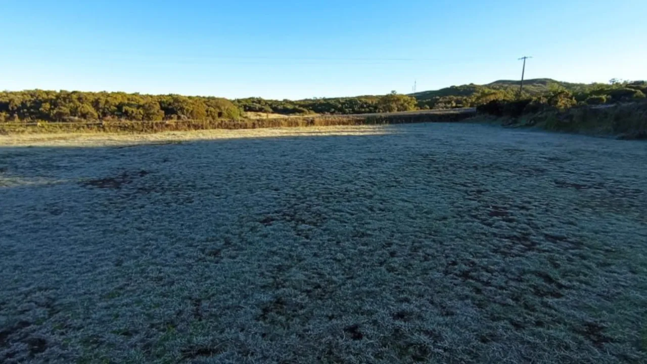 gelées blanches