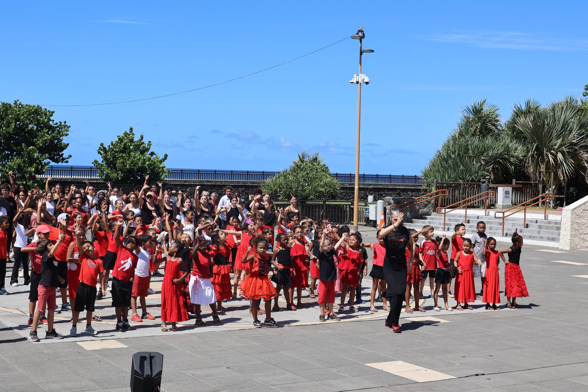 flamenco 1