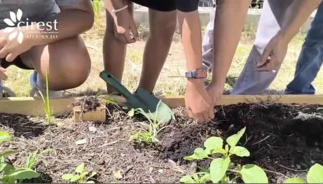 jardins-potagers
