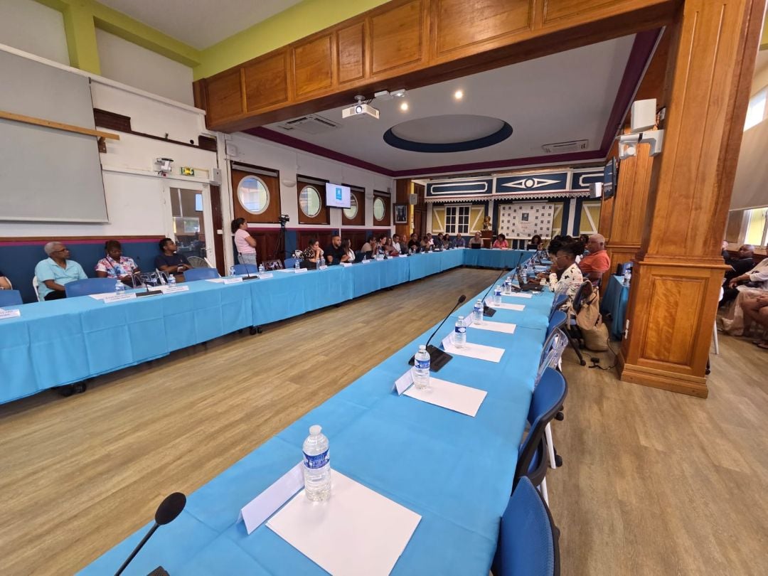 Dernier conseil municipal de mandature de Juliana M'Doihoma sans l'opposition