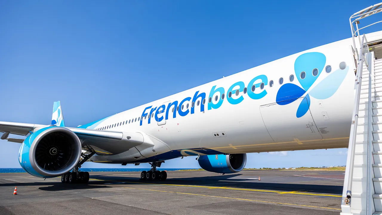 Frenchbee (13)
