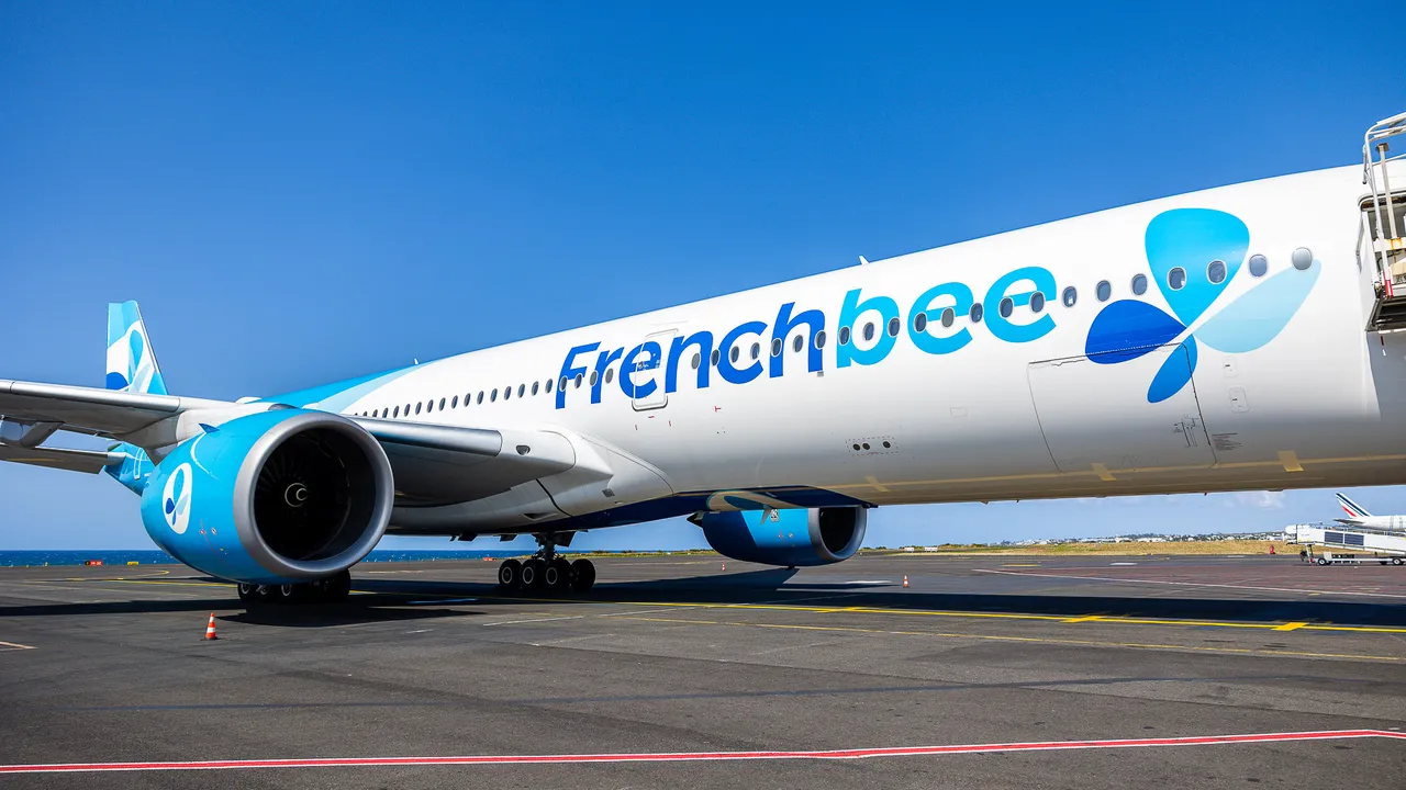Frenchbee (14)