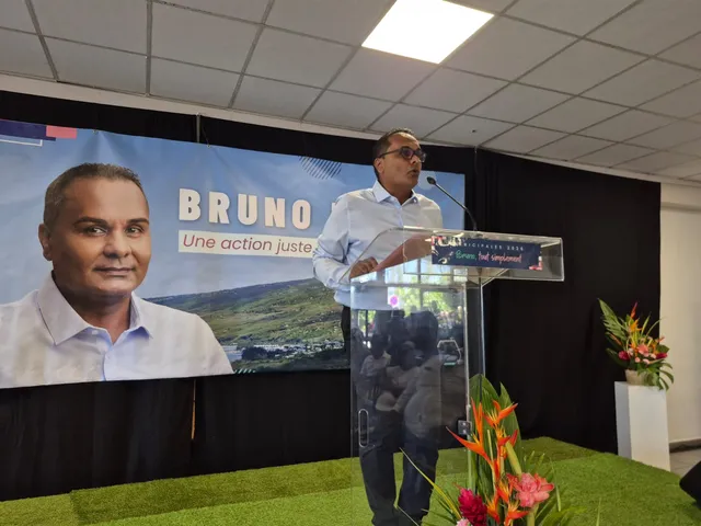 bruno domen municipales