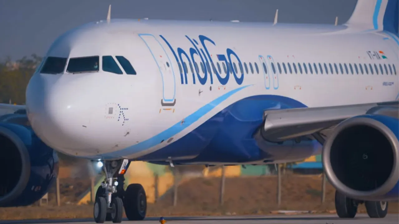 Indigo