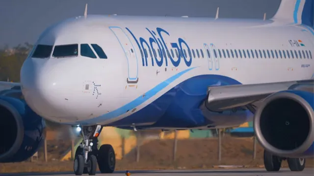 Indigo