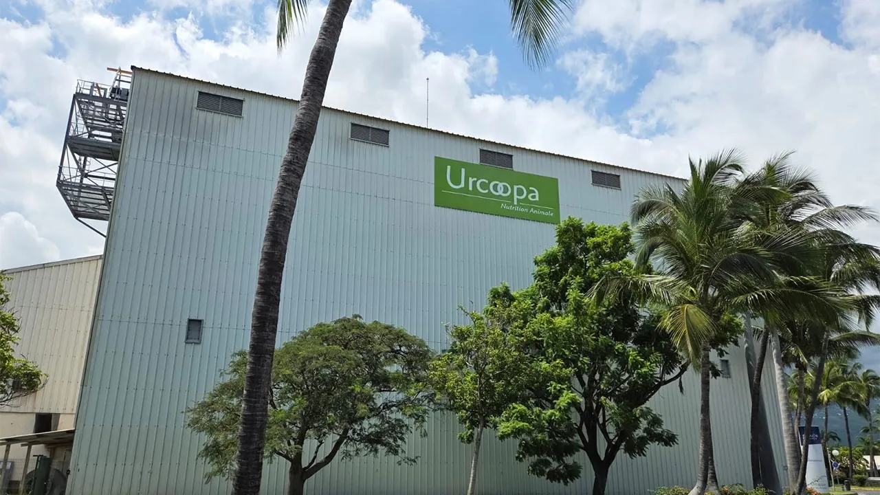 Urcoopa-photo