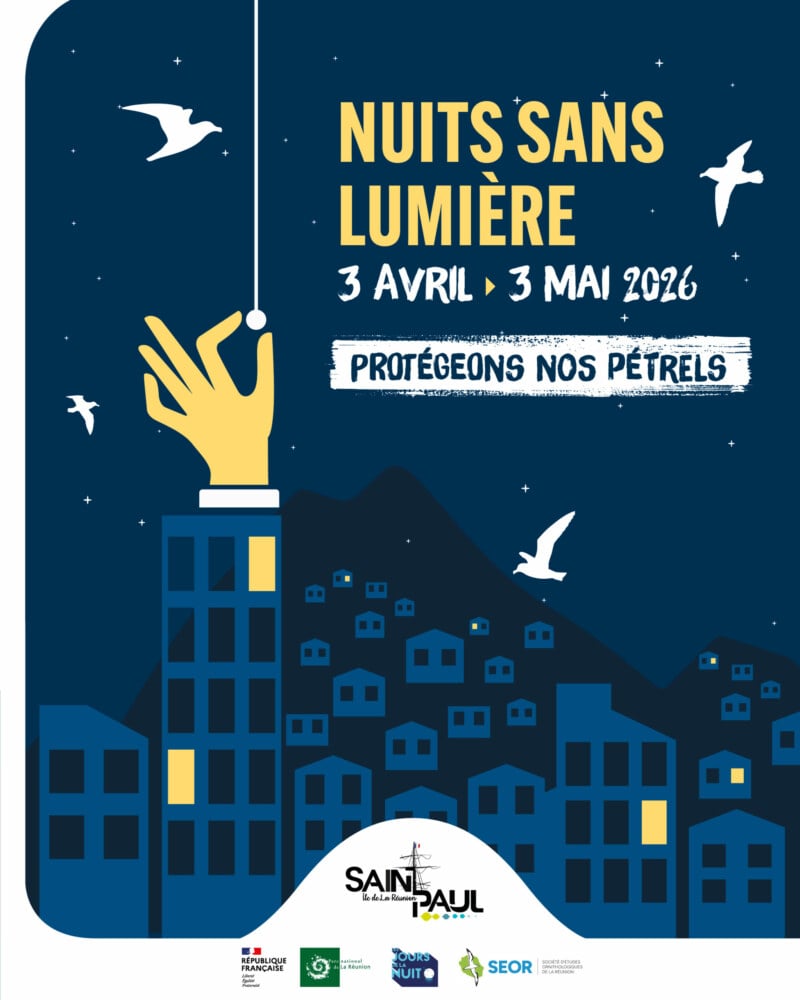 2026-Nuits-sans-lumiere-1080x1350-1-scaled-800x1000