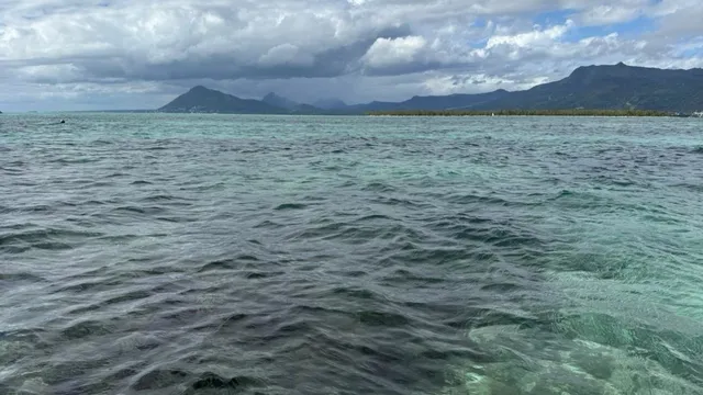 maurice tamarin bay