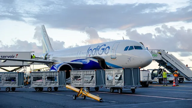 Indigo
