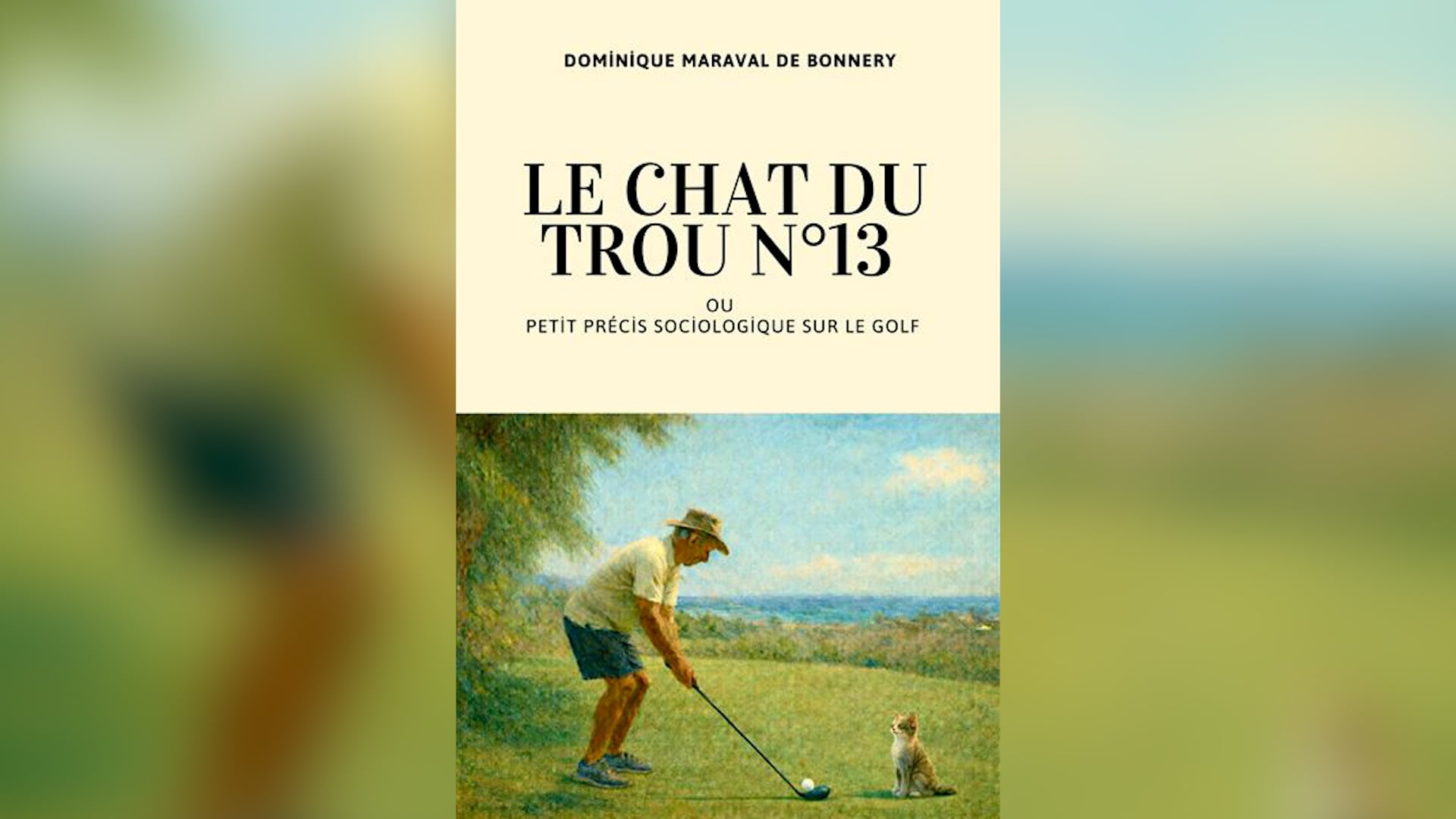Chat du trou n°13