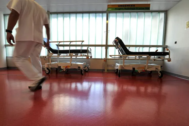 L’hantavirus sous surveillance