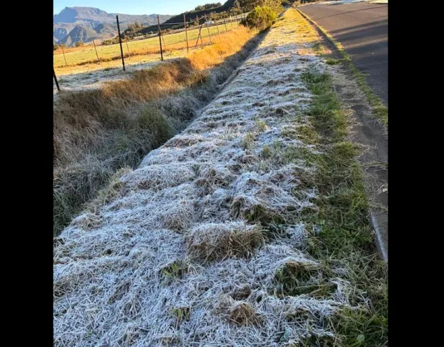 gelée blanches gelée blanches