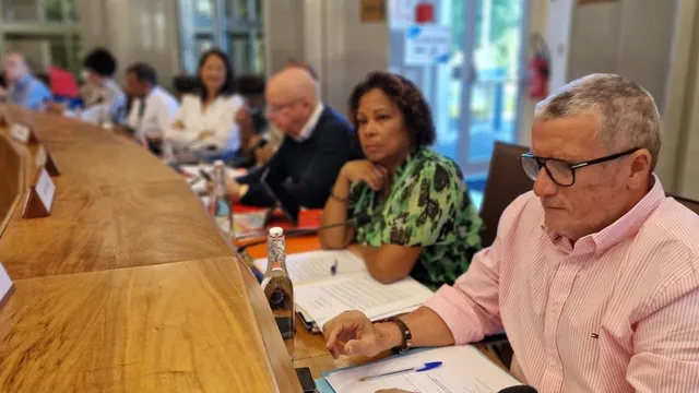 groupe Une Ambition pour le Département © Facebook : Monique Orphé
