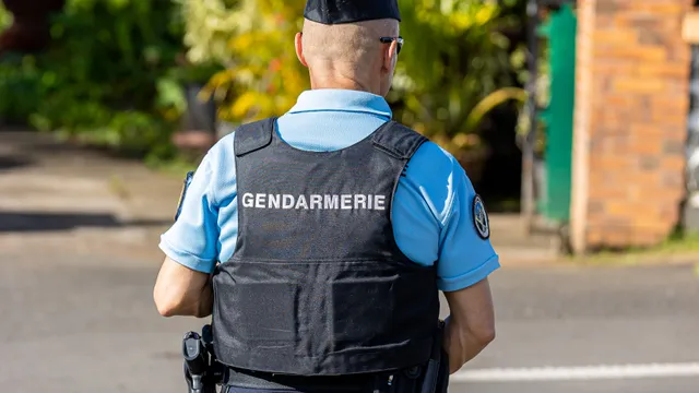 Gendarmerie (43)