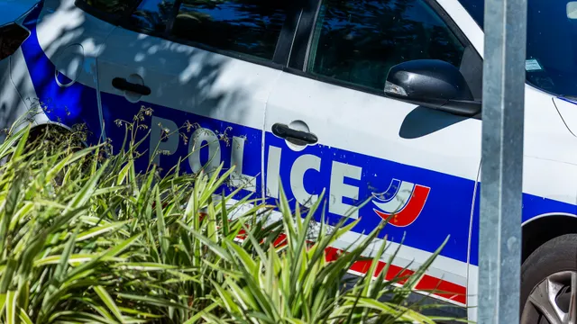 police (24)