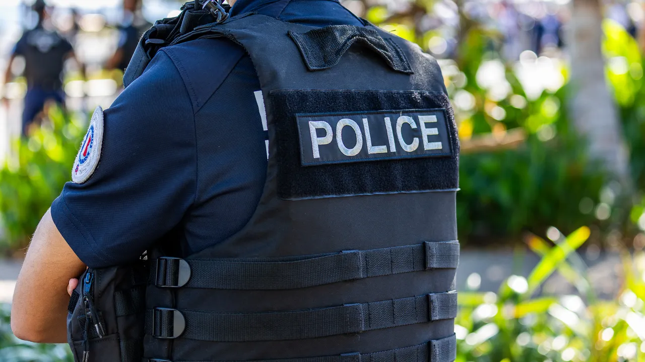 police (25)
