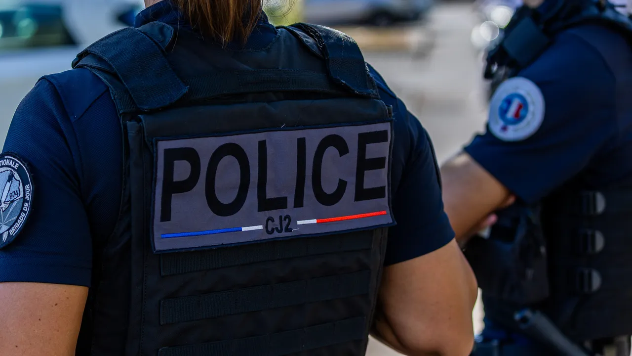 police (29)