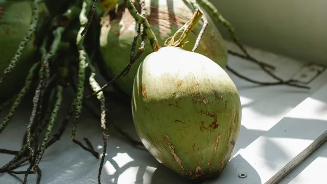 noix coco