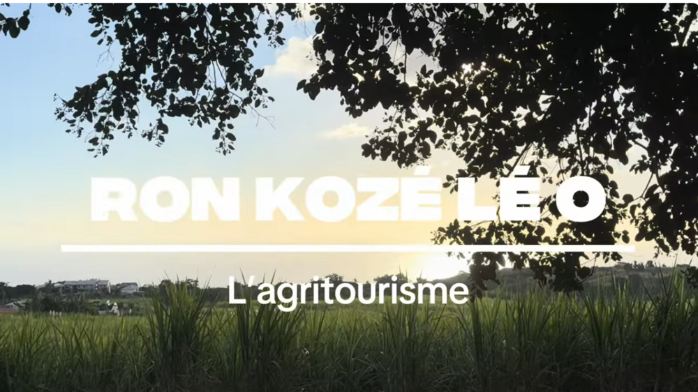 vignette-rklo-3-1-2