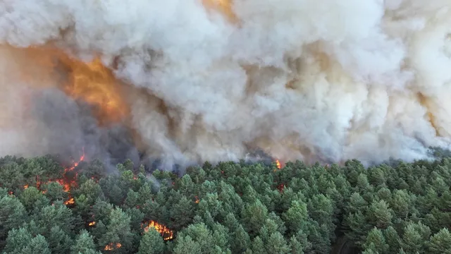 incendie fontainebleau © sapeurs pompiers 77