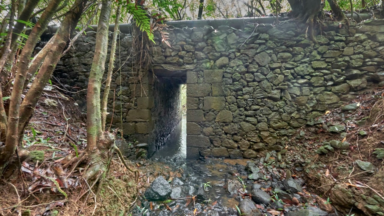 Saint-Benoît : photographier le patrimoine "oublié", ça peut rapporter gros