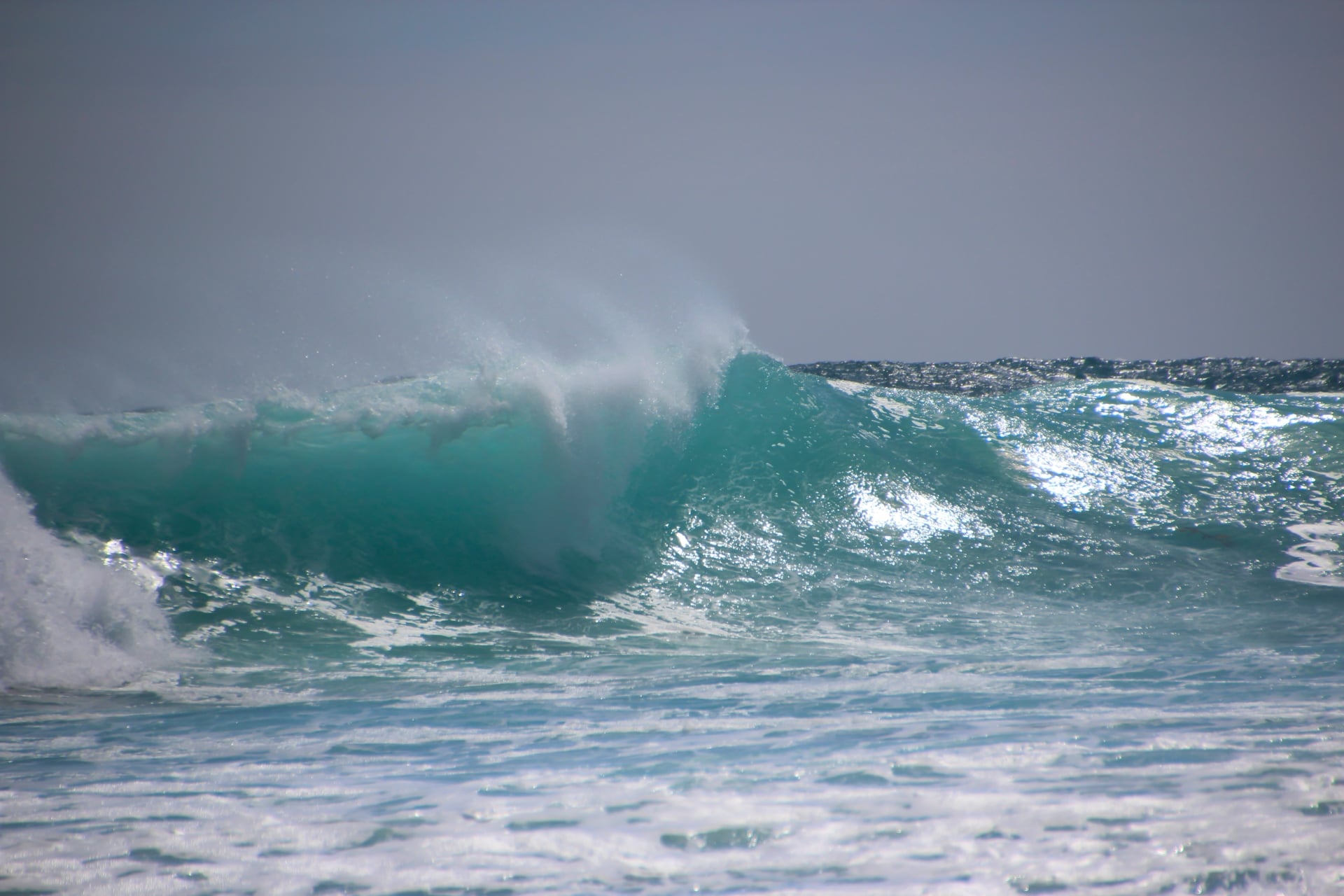 vigilance, vagues-submersion