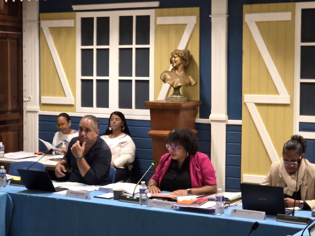 Saint-Louis renforce les moyens du CCAS, des écoles et des routes. Au conseil municipal, l’adhésion à l’AMD a aussi suscité un débat politique.