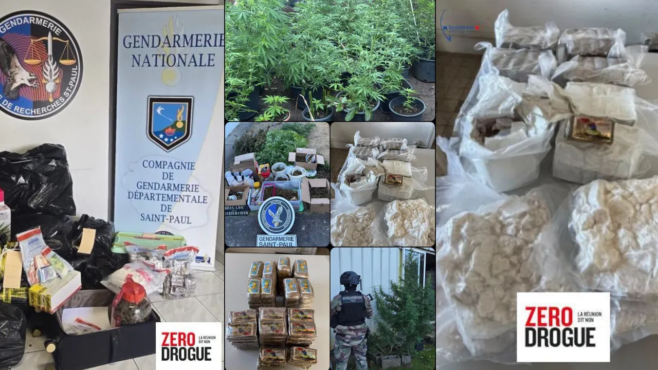 drogue gendarmerie saint-paul