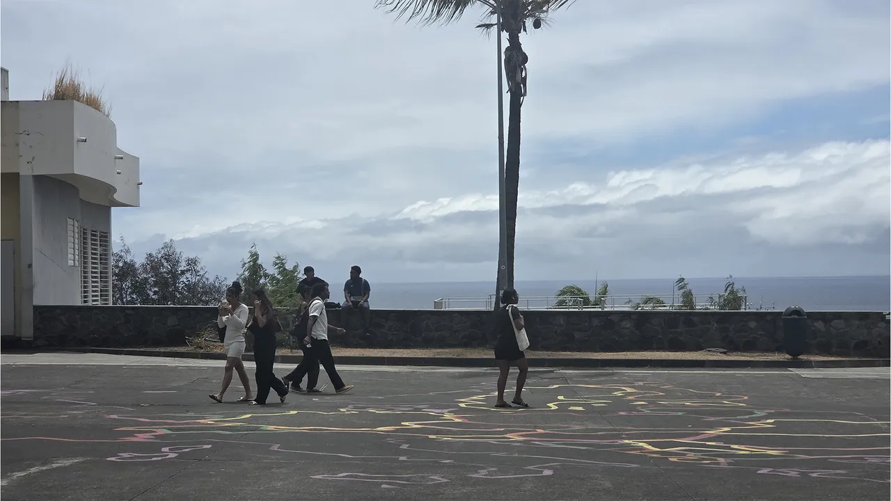 Université de la Réunion, enquête étudiants
