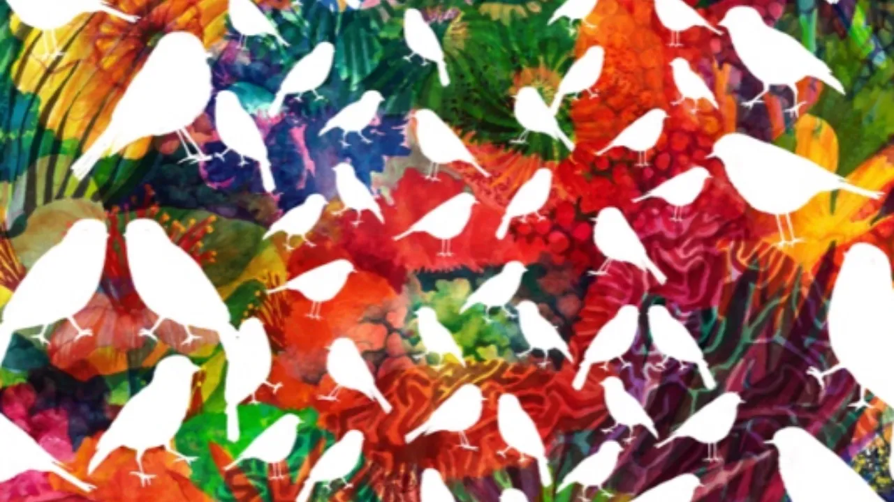 vernissage noms d'oiseaux alice lauret