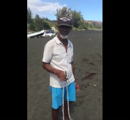 Le chien Papy battu puis laissé pour mort en pleine mer