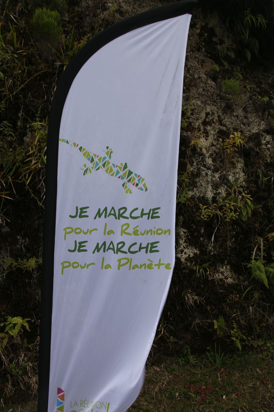 Pandathlon 2016 : Le parcours dans la Forêt du Libéria présenté