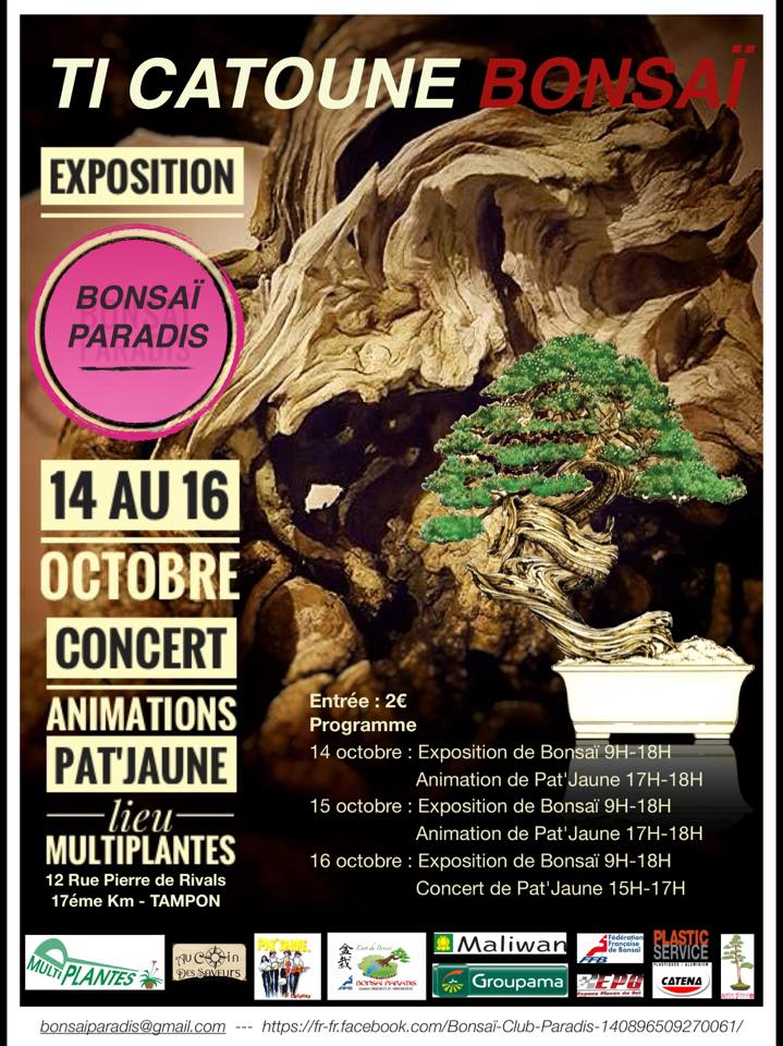 Grande Exposition Bonsaï au Tampon