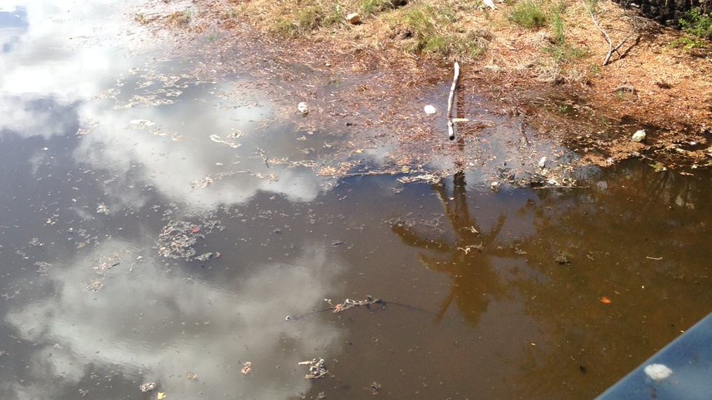 Saint-Gilles: Des déchets dans l'eau stagnante des ravines