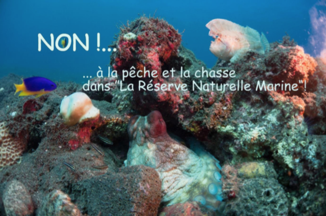 De quelle dignite? parlons-nous ?