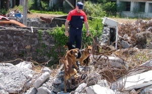 “Quand l’avis d’un chien peut sauver la vie des hommes !”