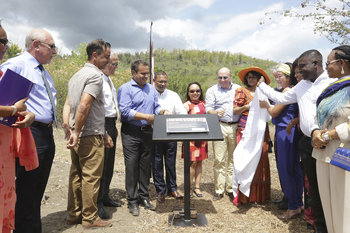 Les photos de l’inauguration du Festival Liberté Métisse et du lancement du Pilier 7 Coopération Régionale